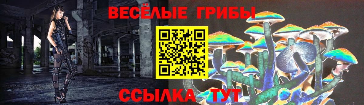 Псилоцибиновые грибы мицелий  Вход с VPN  Псилоцибиновые грибы MAGIC MUSHROOMS  Лениногорск 